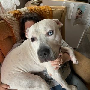 Meet your Posher, William